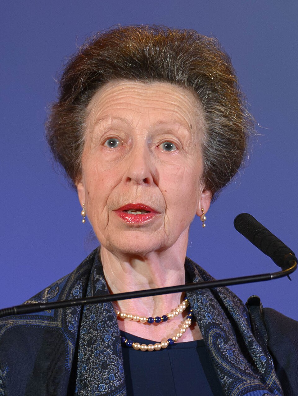 Anne, Princess Royal portrait