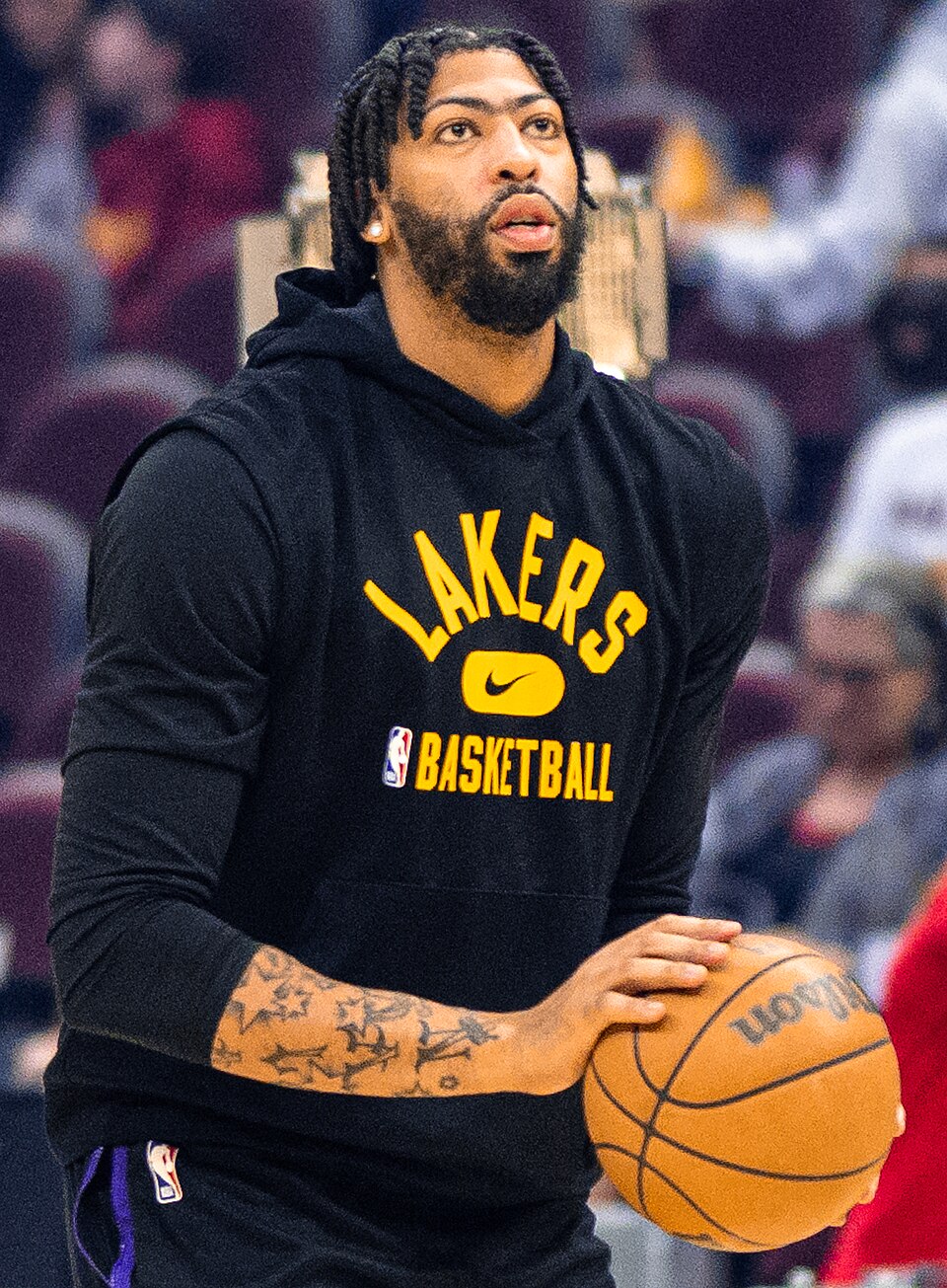 Anthony Davis portrait