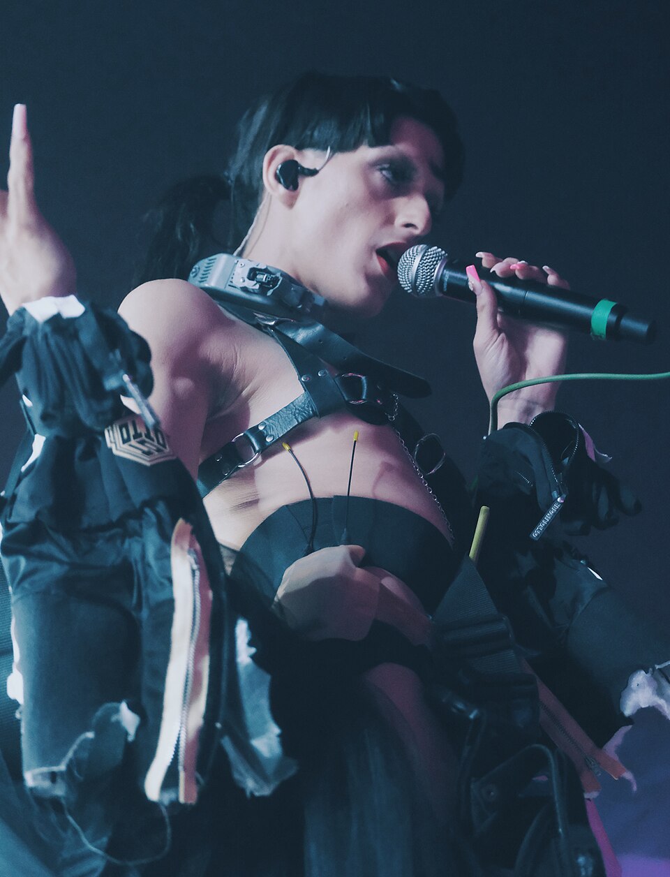 Arca portrait