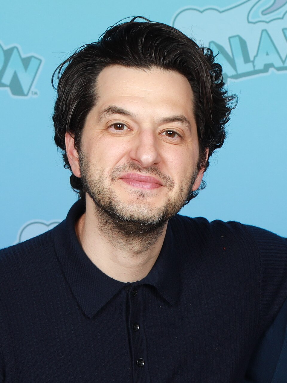 Ben Schwartz portrait