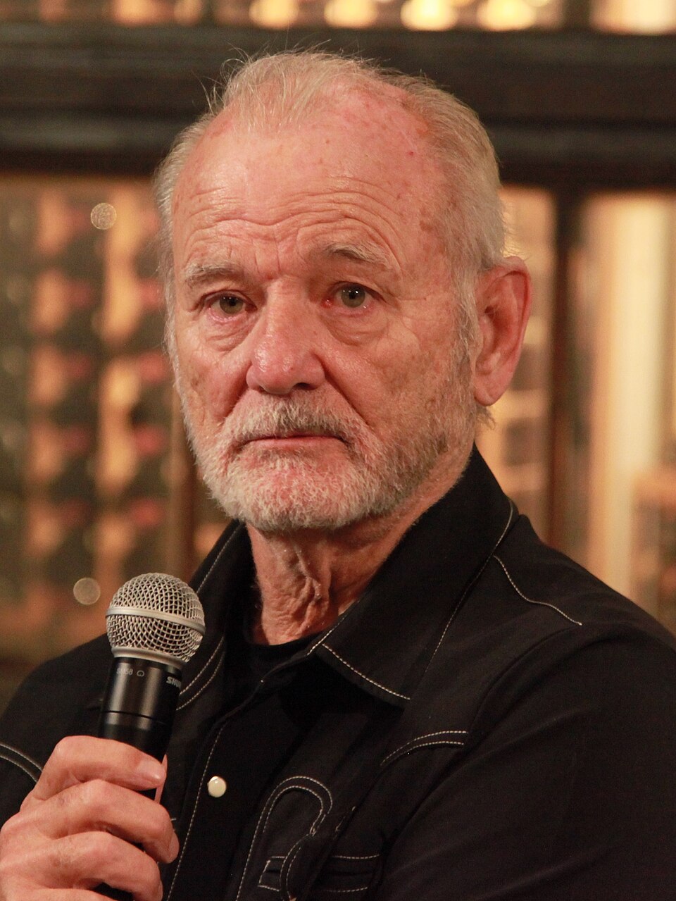 Bill Murray portrait