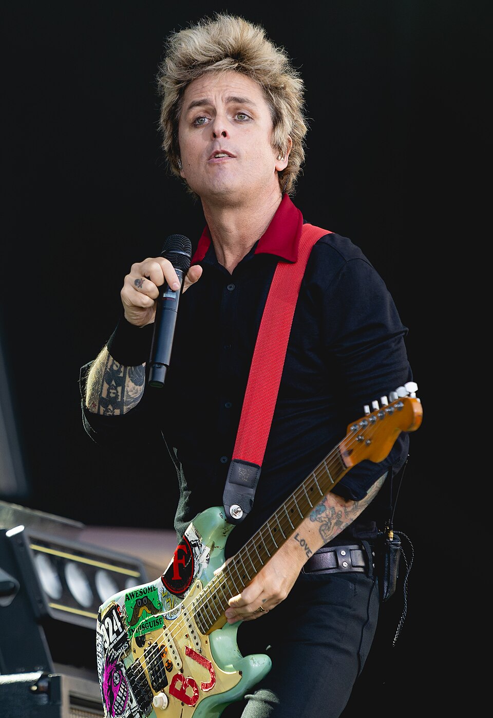 Billie Joe Armstrong portrait