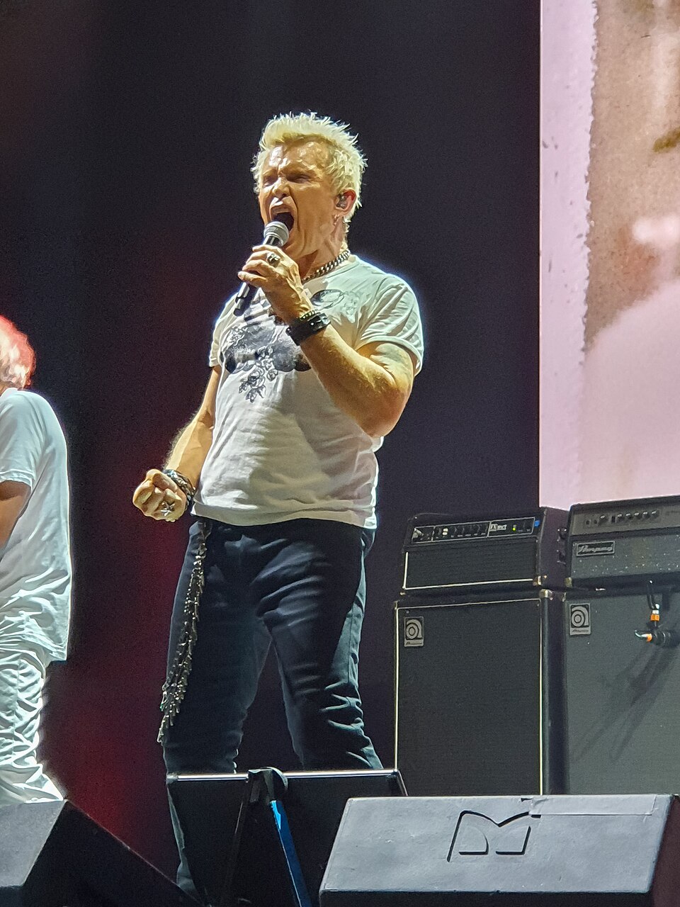 Billy Idol portrait