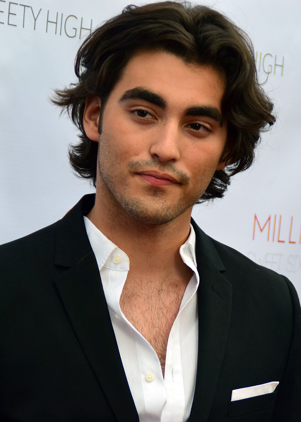 Blake Michael portrait