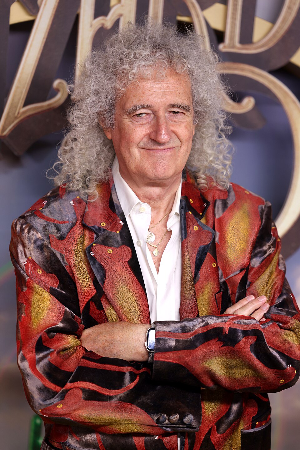 Brian May portrait
