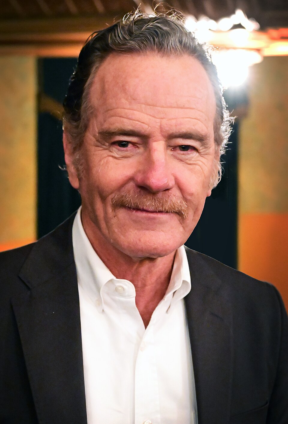 Bryan Cranston portrait