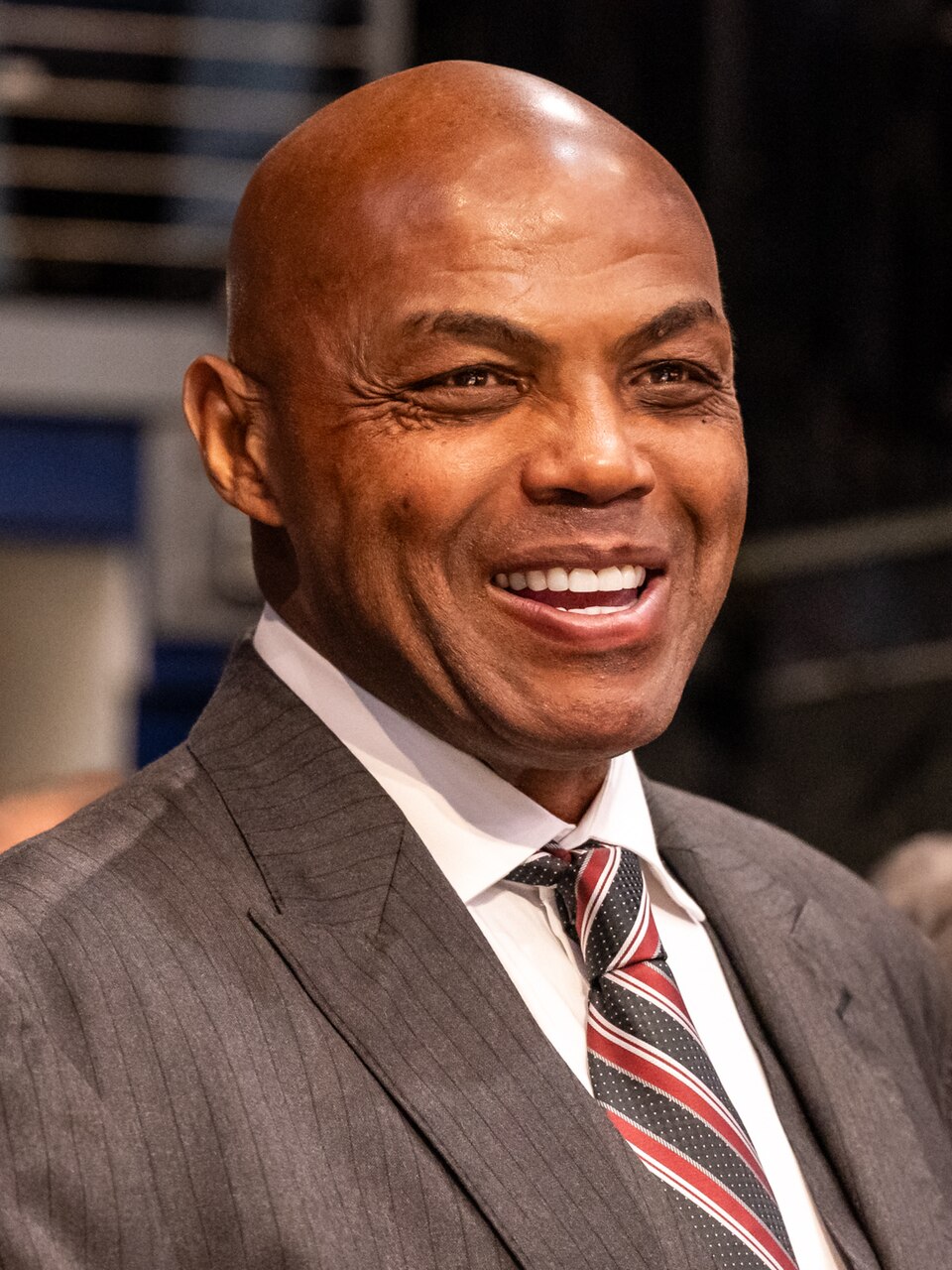 Charles Barkley portrait