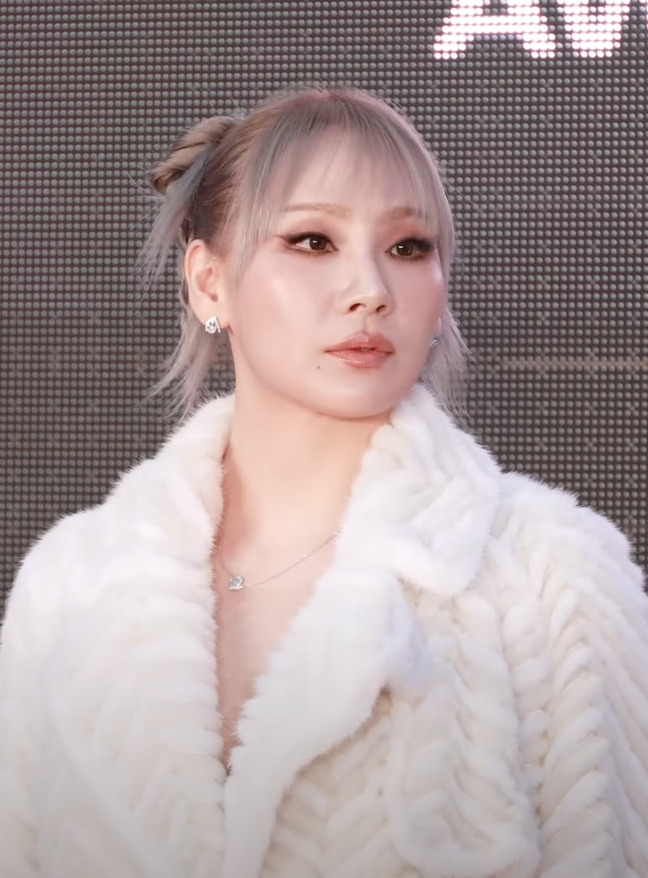 CL licensed portrait