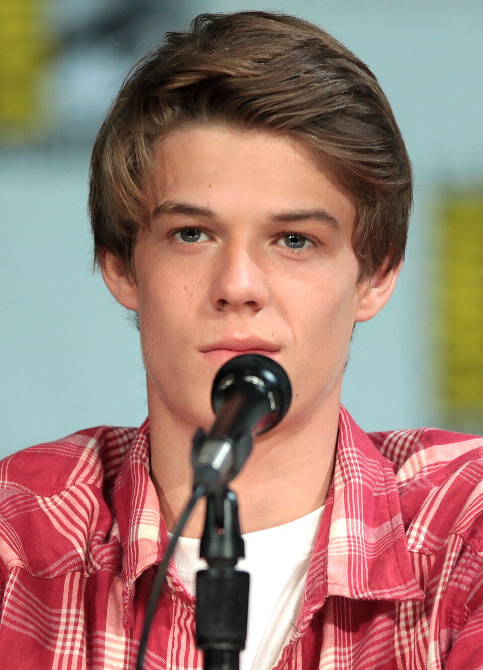 Colin Ford portrait