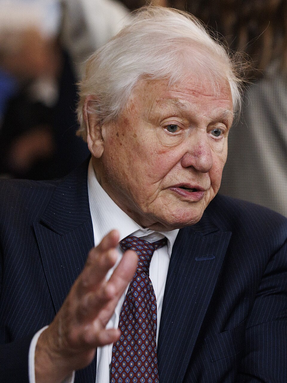 David Attenborough portrait