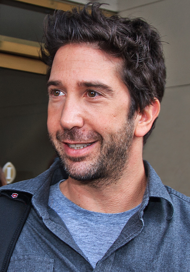 David Schwimmer portrait
