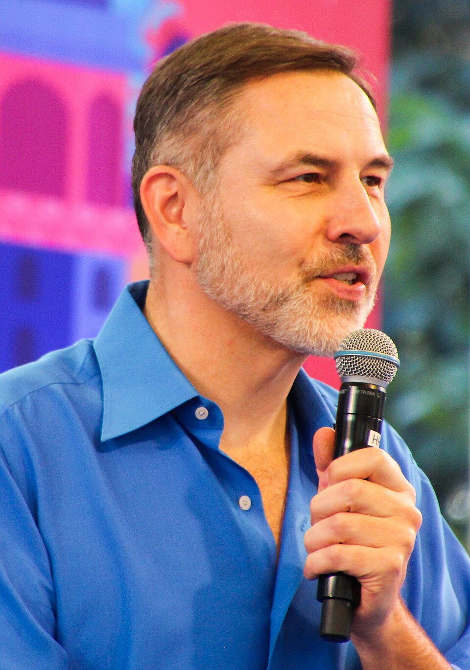 David Walliams portrait