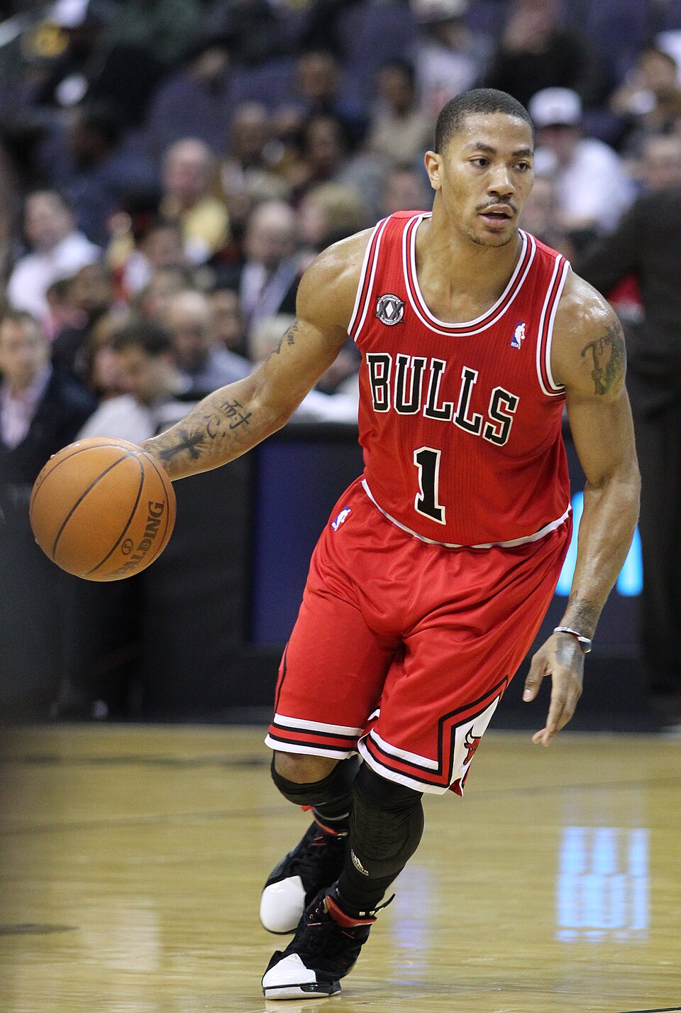 Derrick Rose portrait