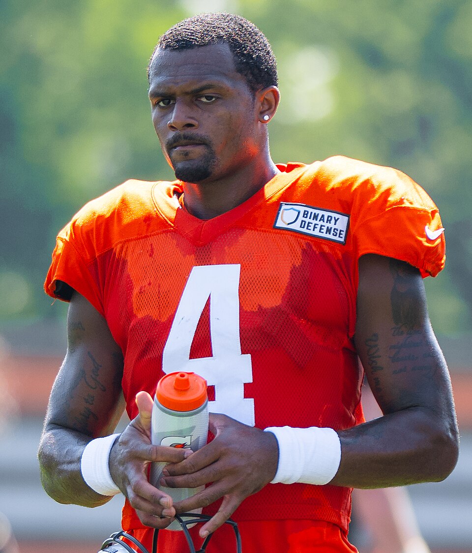 Deshaun Watson portrait