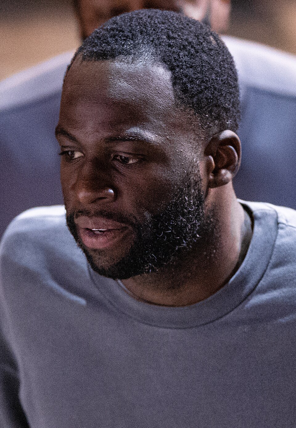 Draymond Green portrait
