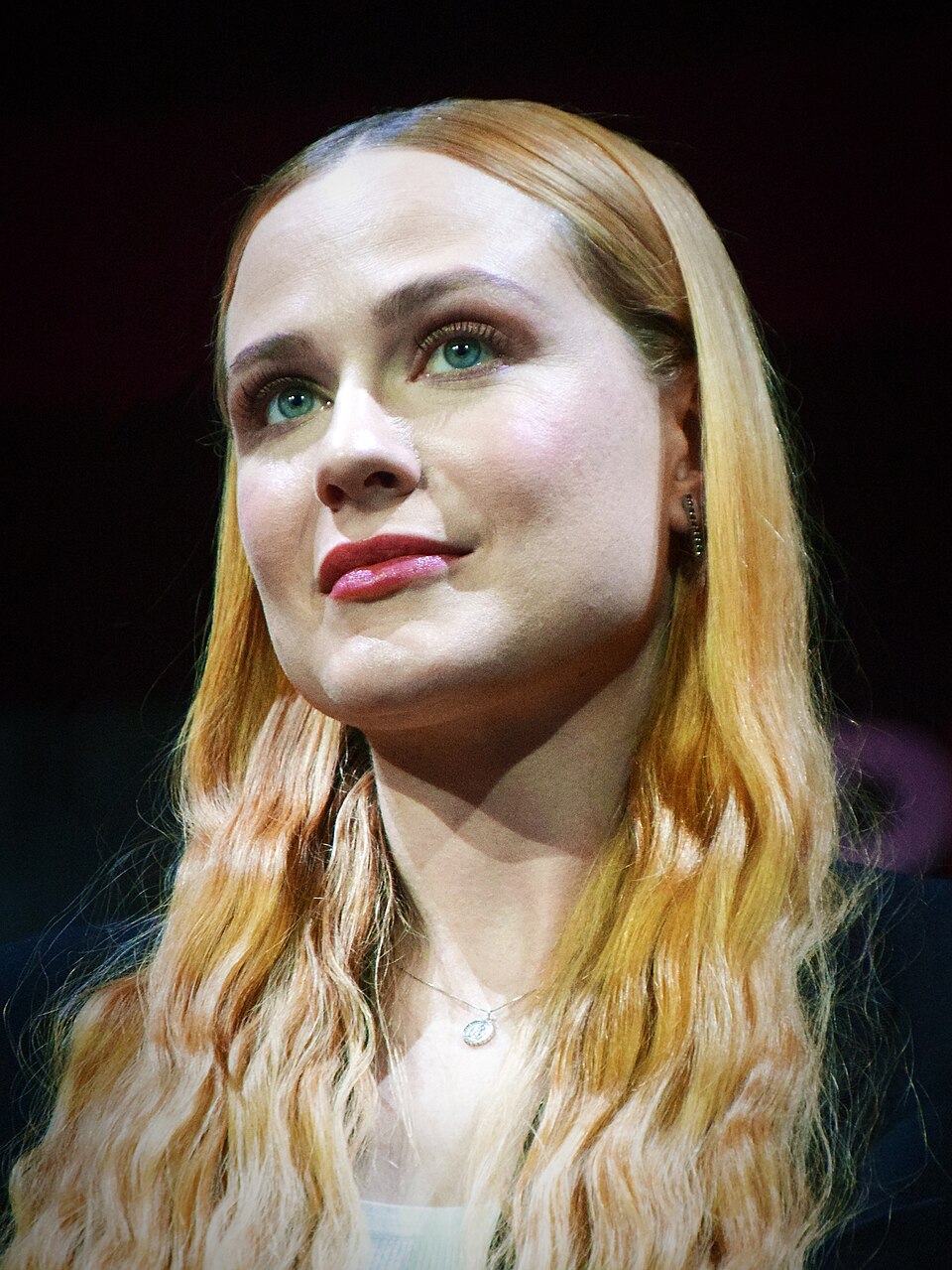 Evan Rachel Wood portrait