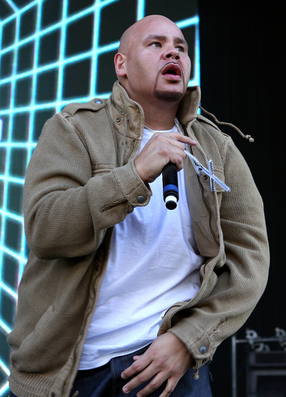 Fat Joe portrait