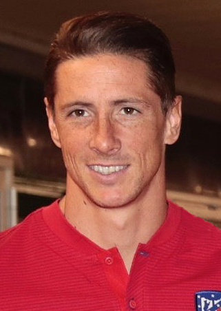 Fernando Torres portrait