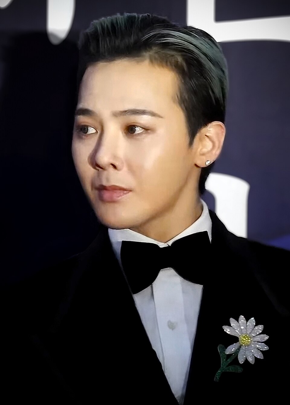 G Dragon portrait