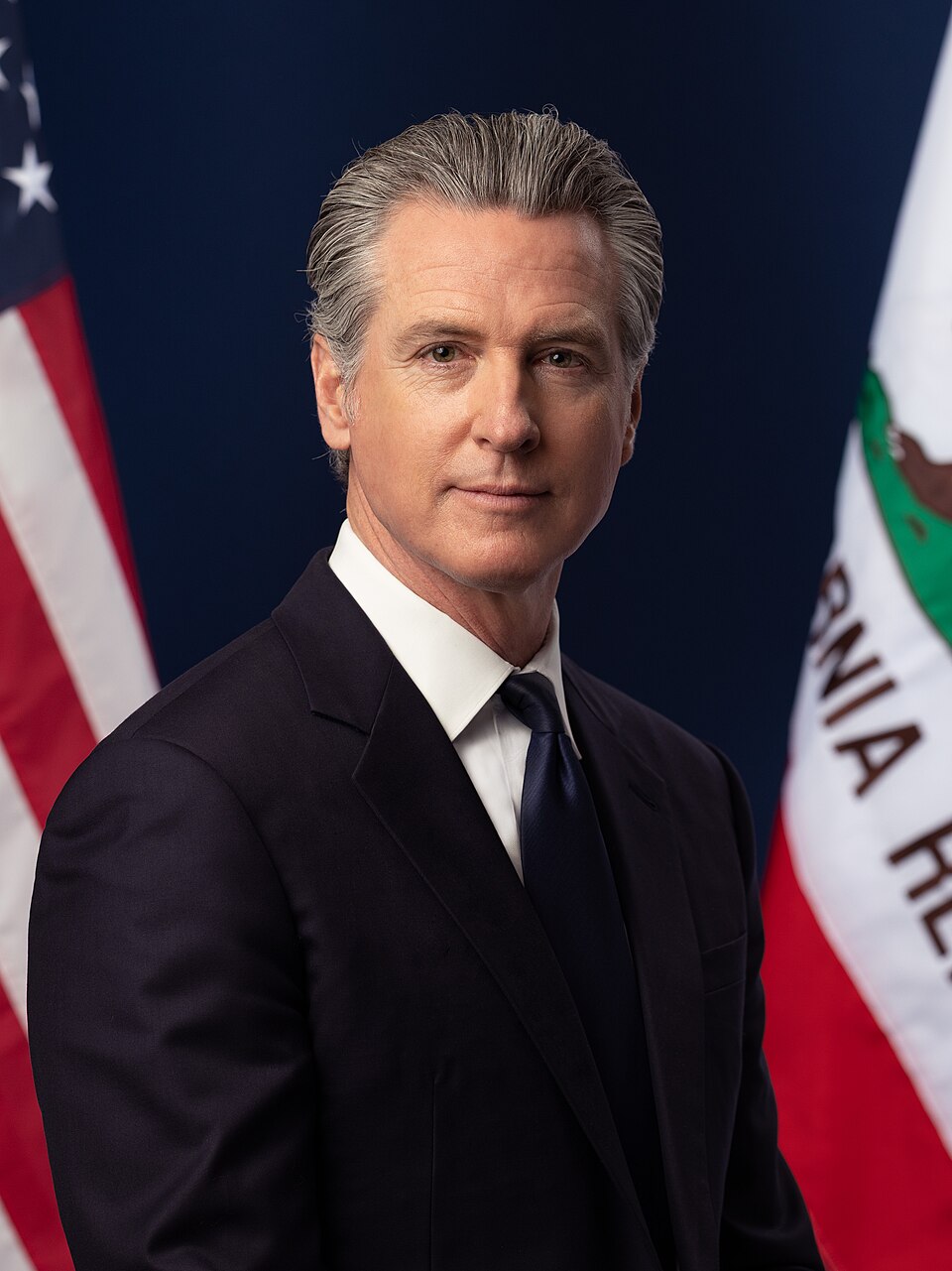 Gavin Newsom portrait