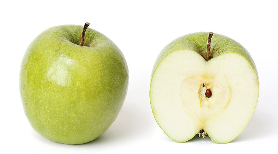 Granny Smith portrait