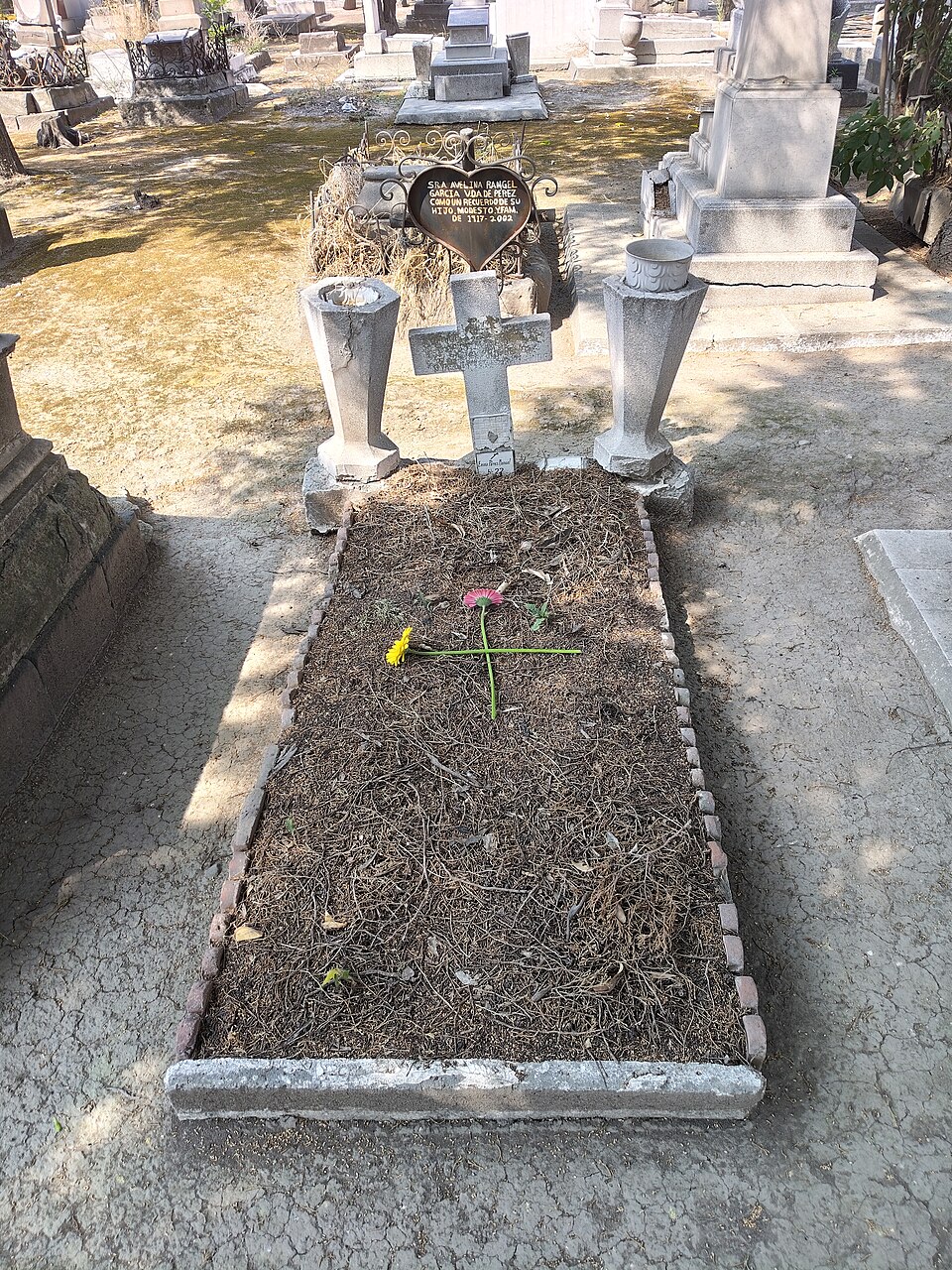 Grave portrait