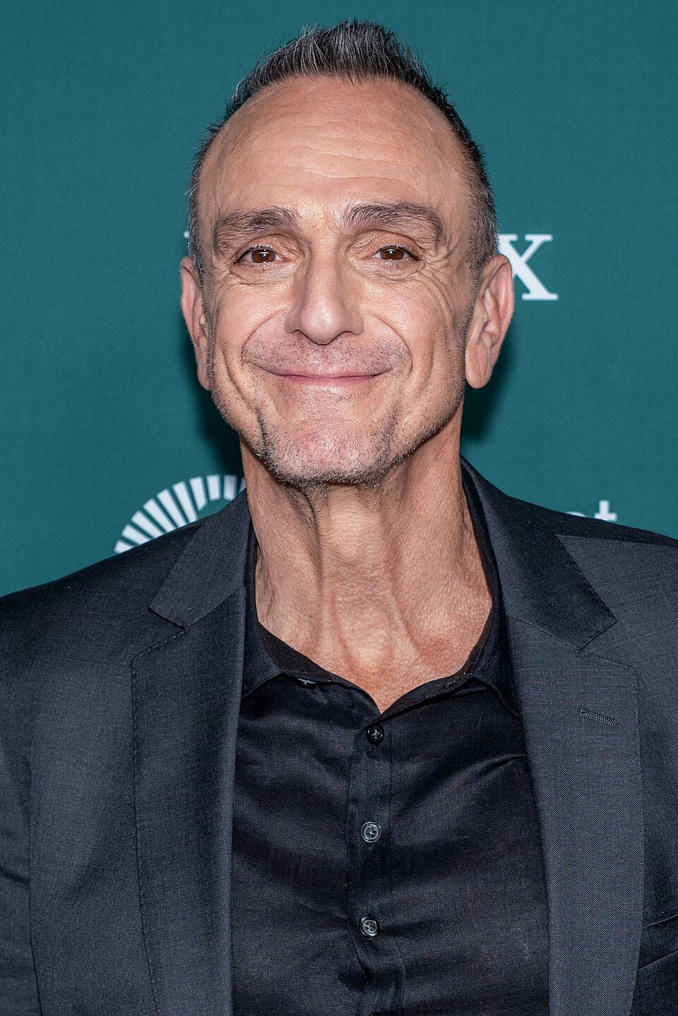 Hank Azaria portrait
