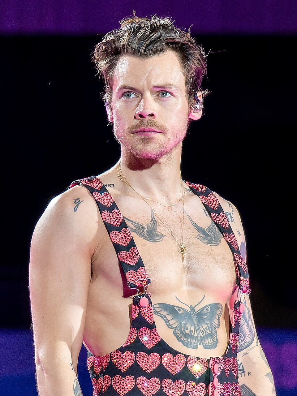Harry Styles portrait