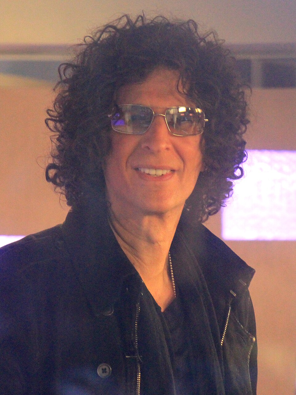 Howard Stern portrait