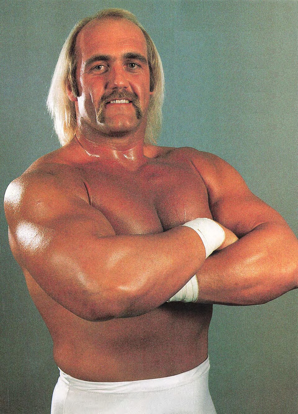 Hulk Hogan portrait