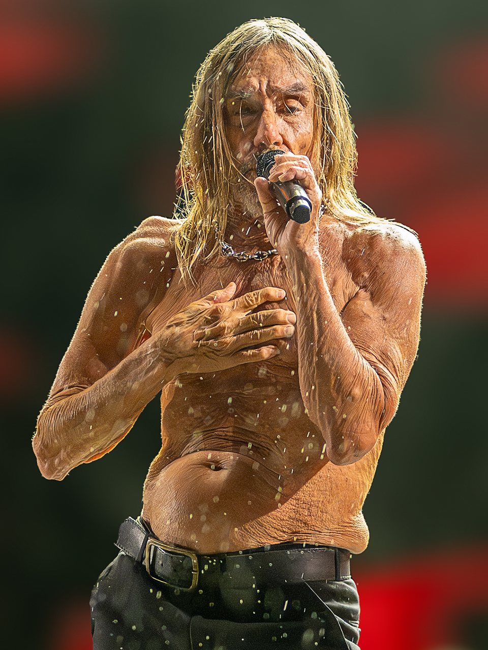 Iggy Pop portrait