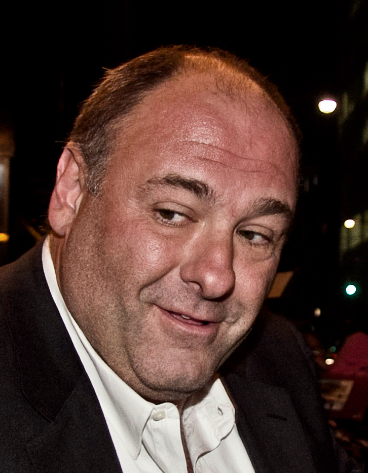 James Gandolfini portrait