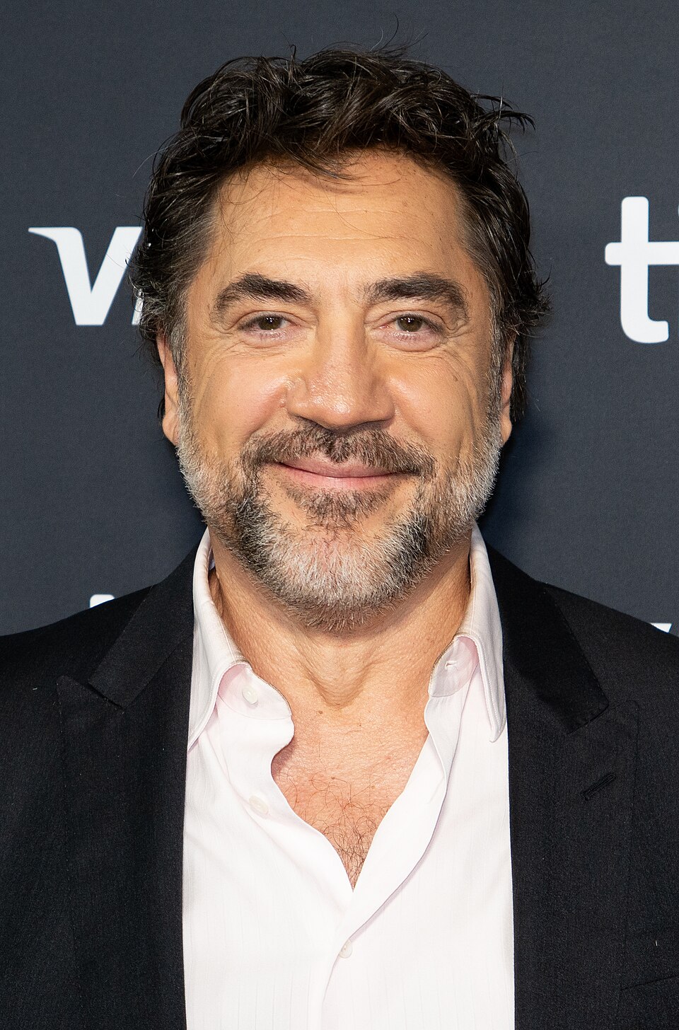 Javier Bardem portrait