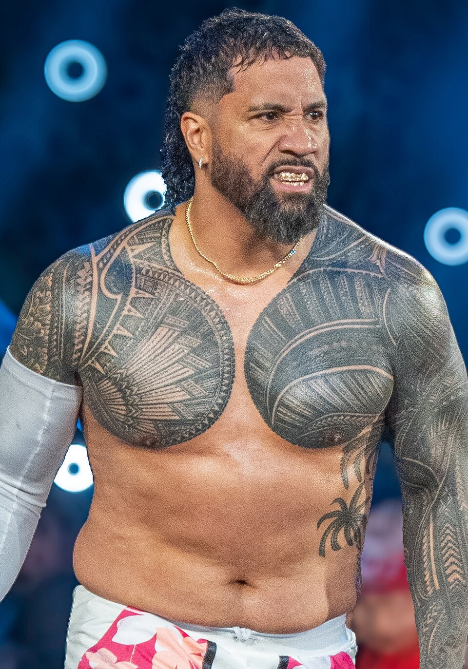 Jey Uso portrait