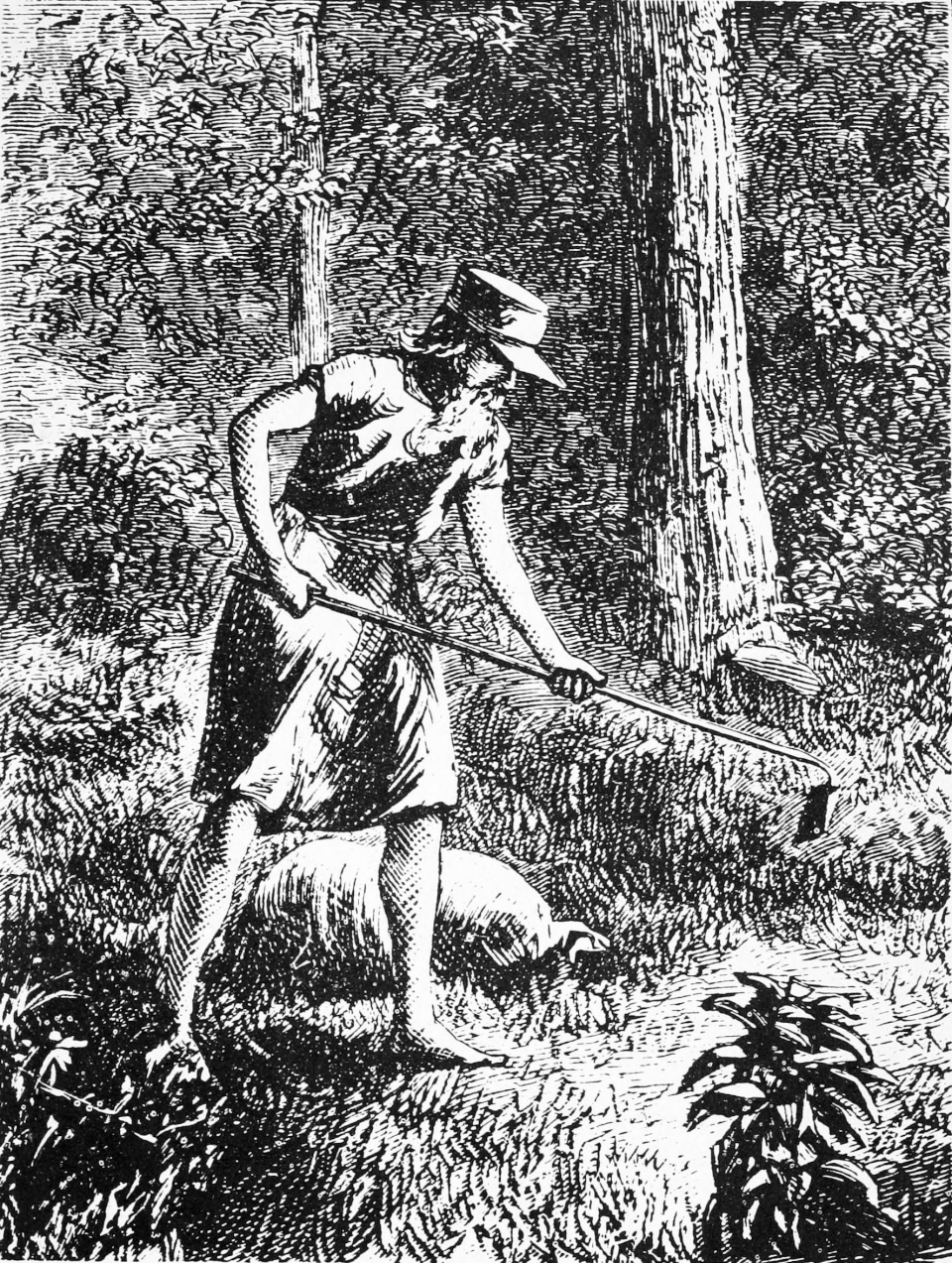 Johnny Appleseed portrait