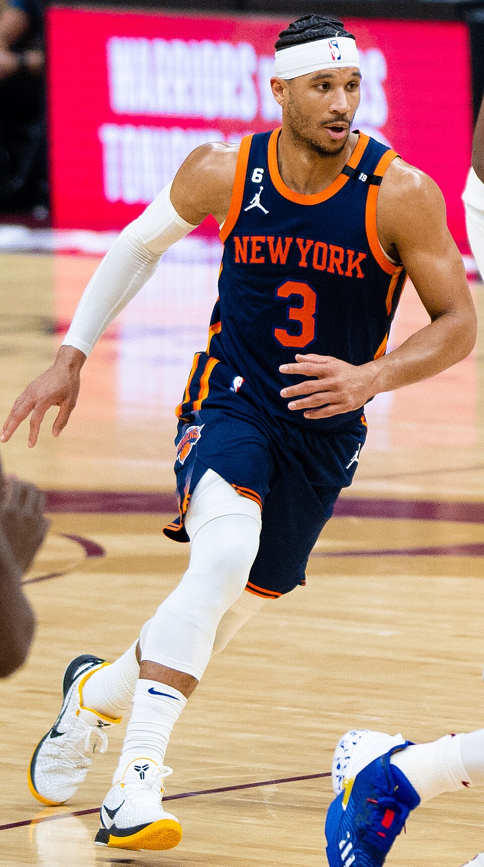 Josh Hart portrait