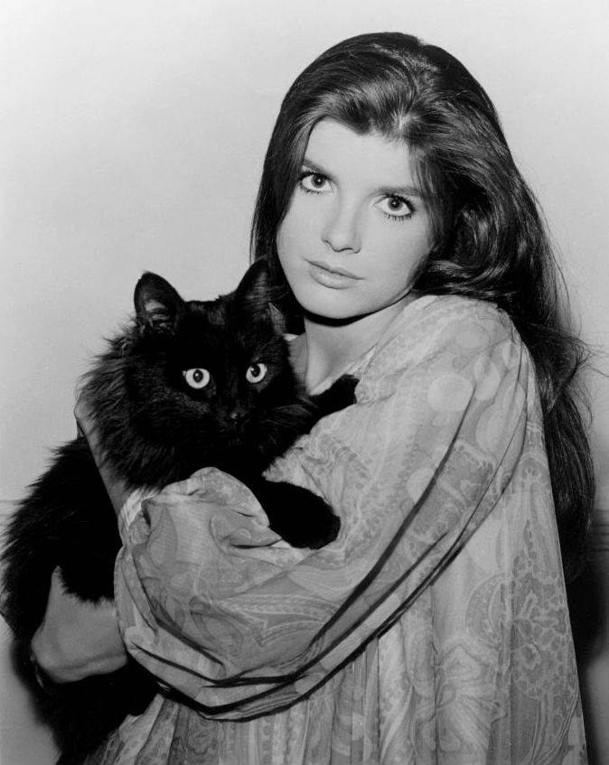 Katharine Ross portrait