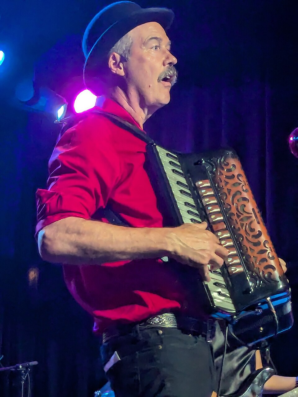 Krist Novoselic portrait