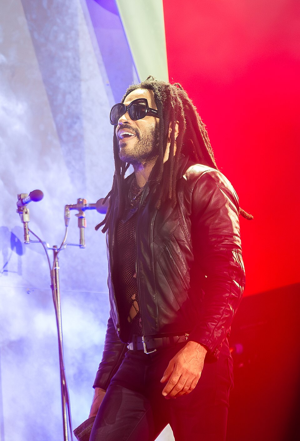 Lenny Kravitz portrait