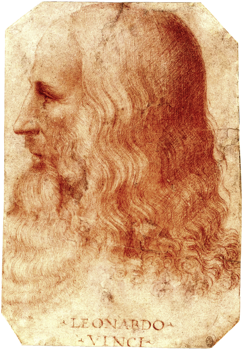 Leonardo da Vinci portrait