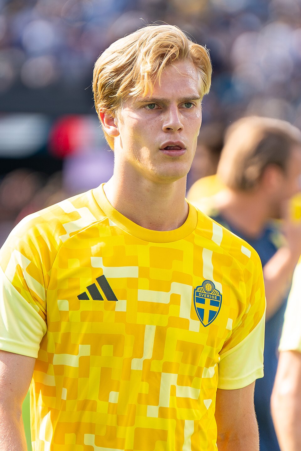 Lucas Bergvall portrait