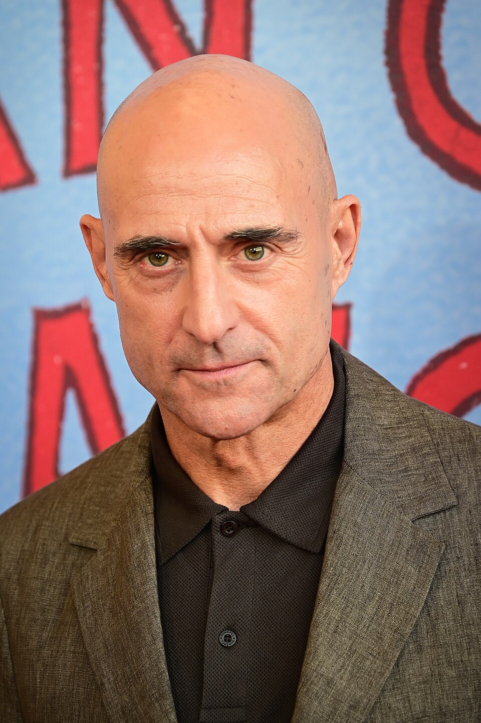 Mark Strong portrait