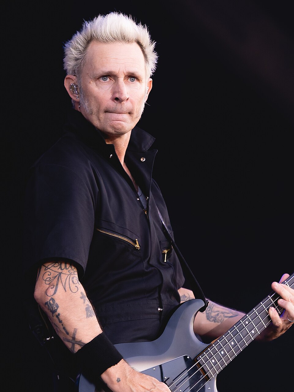 Mike Dirnt portrait