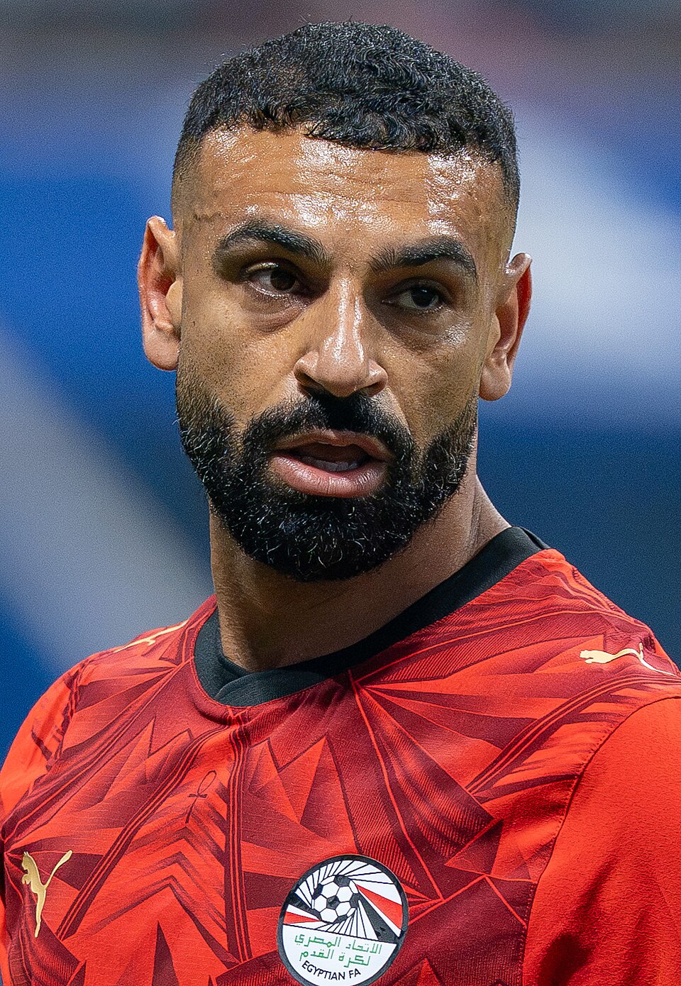 Mohamed Salah portrait