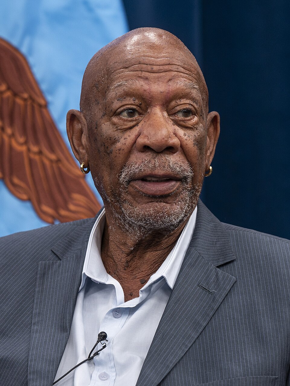 Morgan Freeman portrait