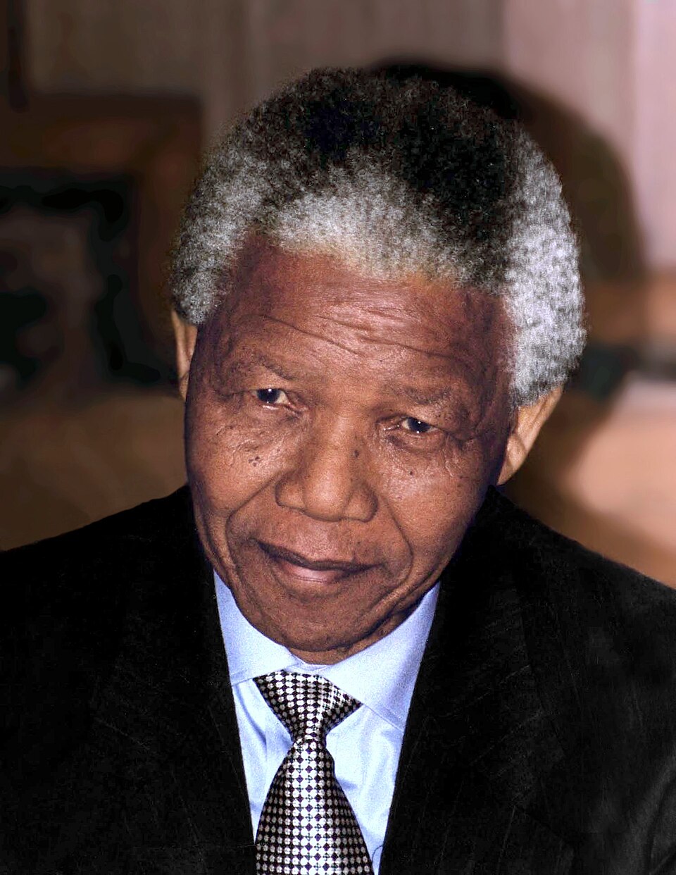 Nelson Mandela portrait