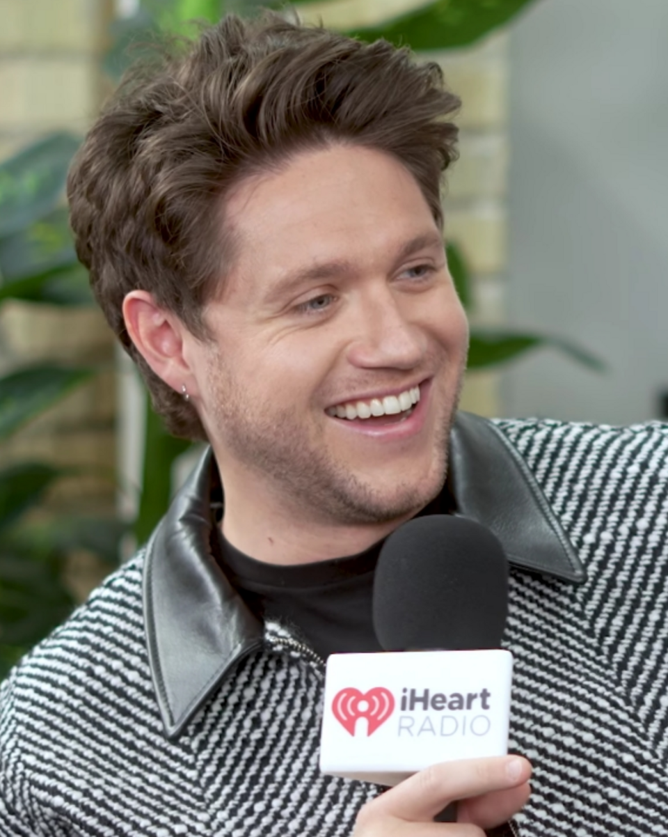 Niall Horan portrait