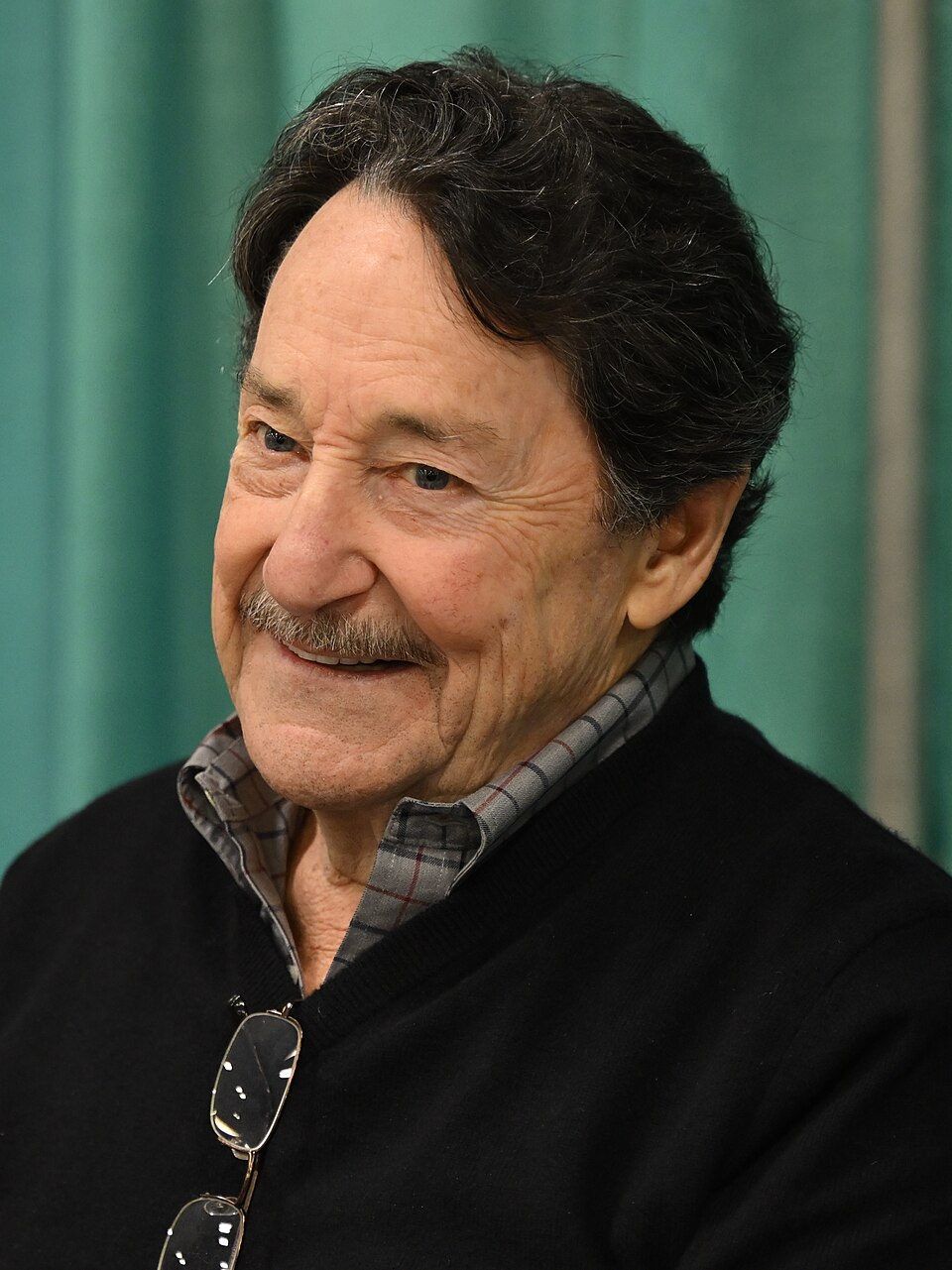 Peter Cullen portrait