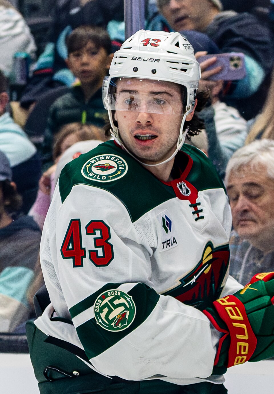 Quinn Hughes portrait