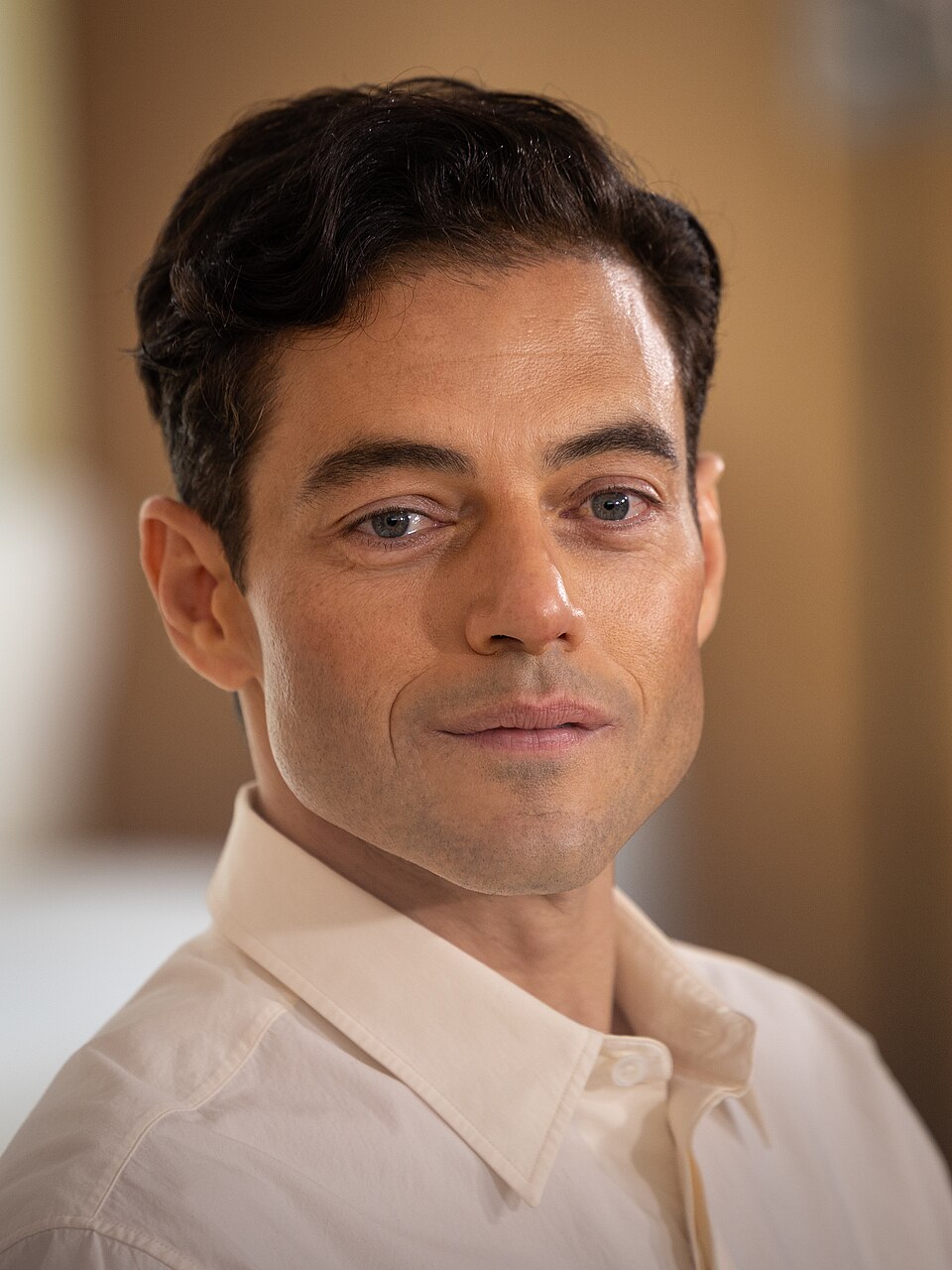Rami Malek portrait